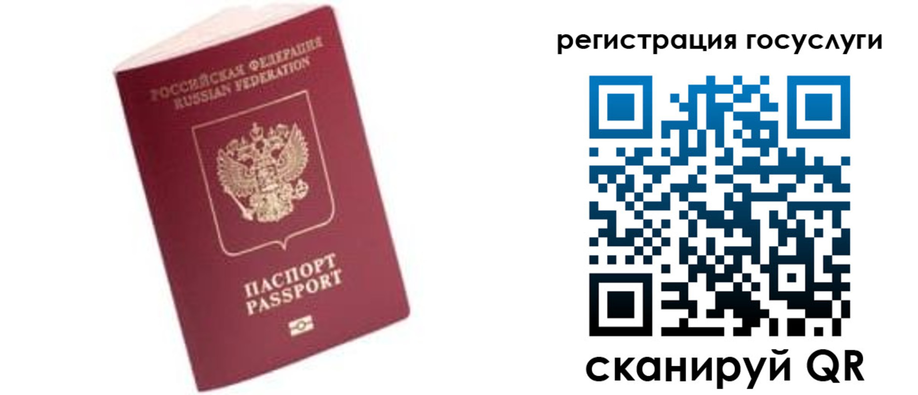 прописка поиск в Жукове